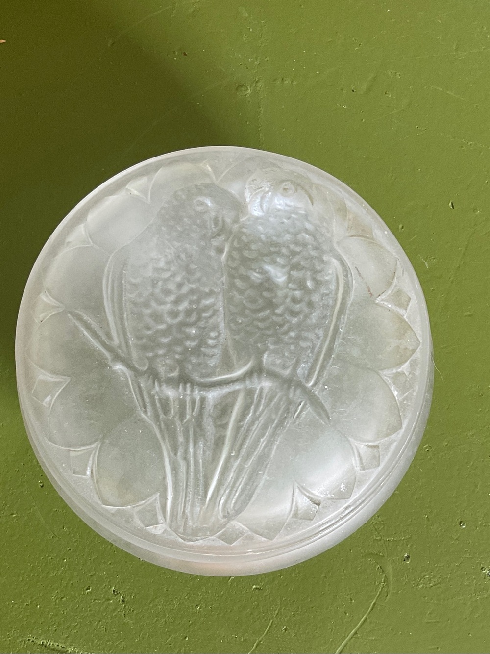 Frosted White Glass Parrot Relief Wall Art